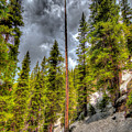 NEW MEXICO 10
