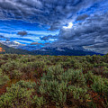 NEW MEXICO 39