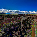 NEW MEXICO 19