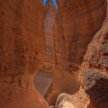 NEW MEXICO 26