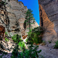 NEW MEXICO 15