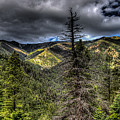 NEW MEXICO 14